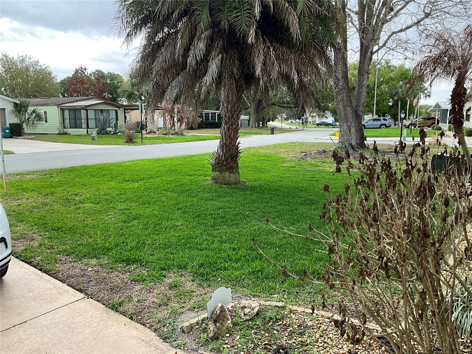 PLANTATION AT LEESBURG - Residential