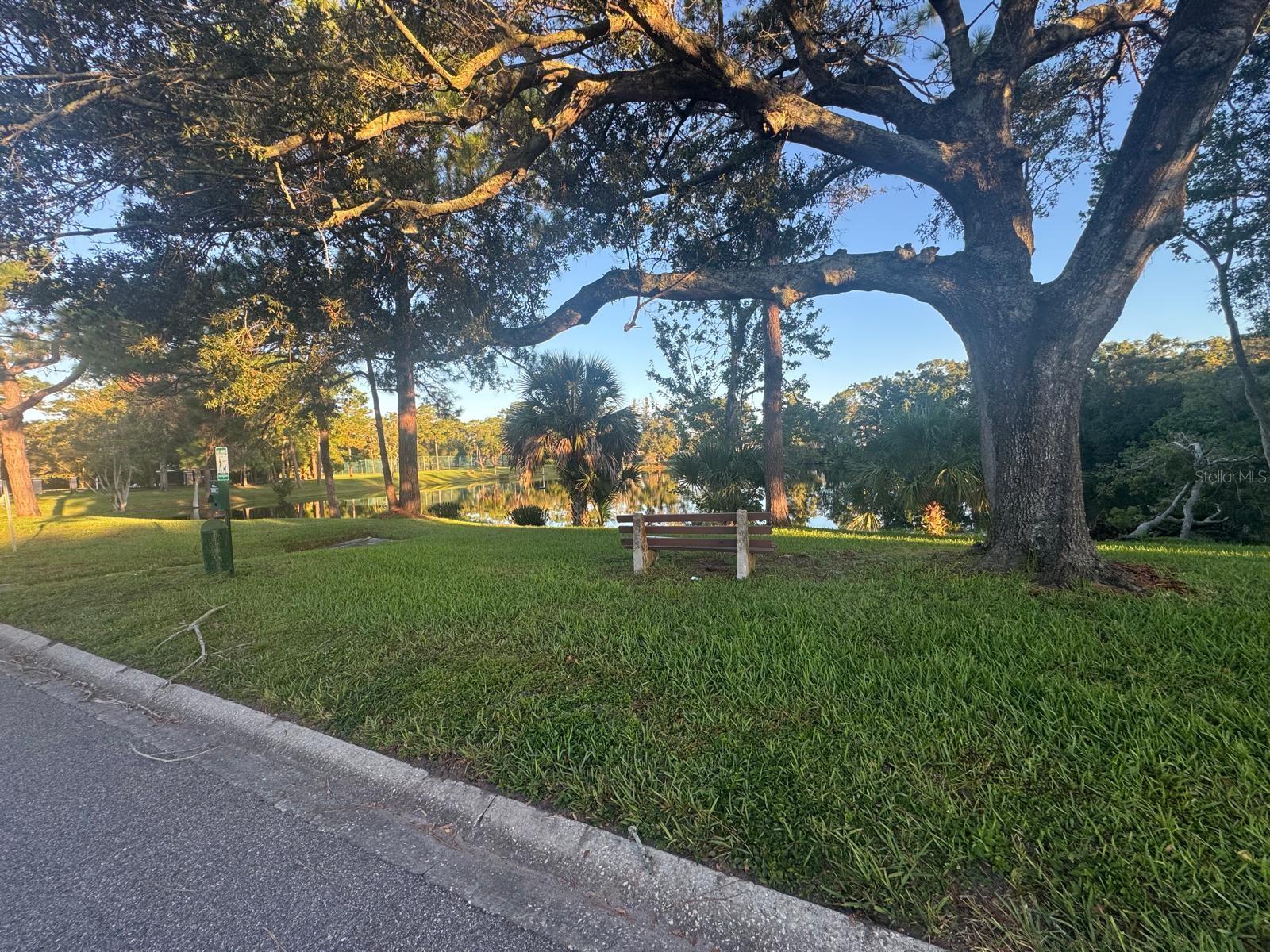 WINTER GREEN - Residential Lease