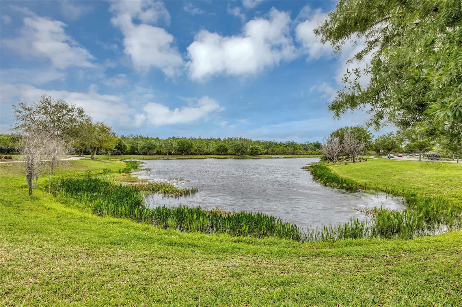 LAUREATE PARK PH 5B - Residential