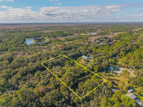 0 CLINTON CEMETERY RD. EDGEWATER FL 32141