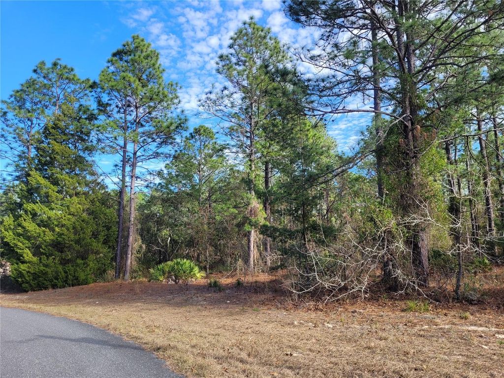 Photo of 5677 N Calico Drive, Beverly Hills, FL 34465 (MLS # TB8471296)