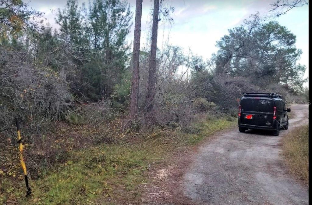 Photo of 4606 Piedmont Avenue, Sebring, FL 33875 (MLS # O6149927)