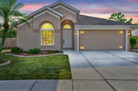 1719 SCOTCH PINE DRIVE BRANDON FL 33511