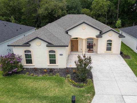 6235 SW 95TH PLACE OCALA FL 34476