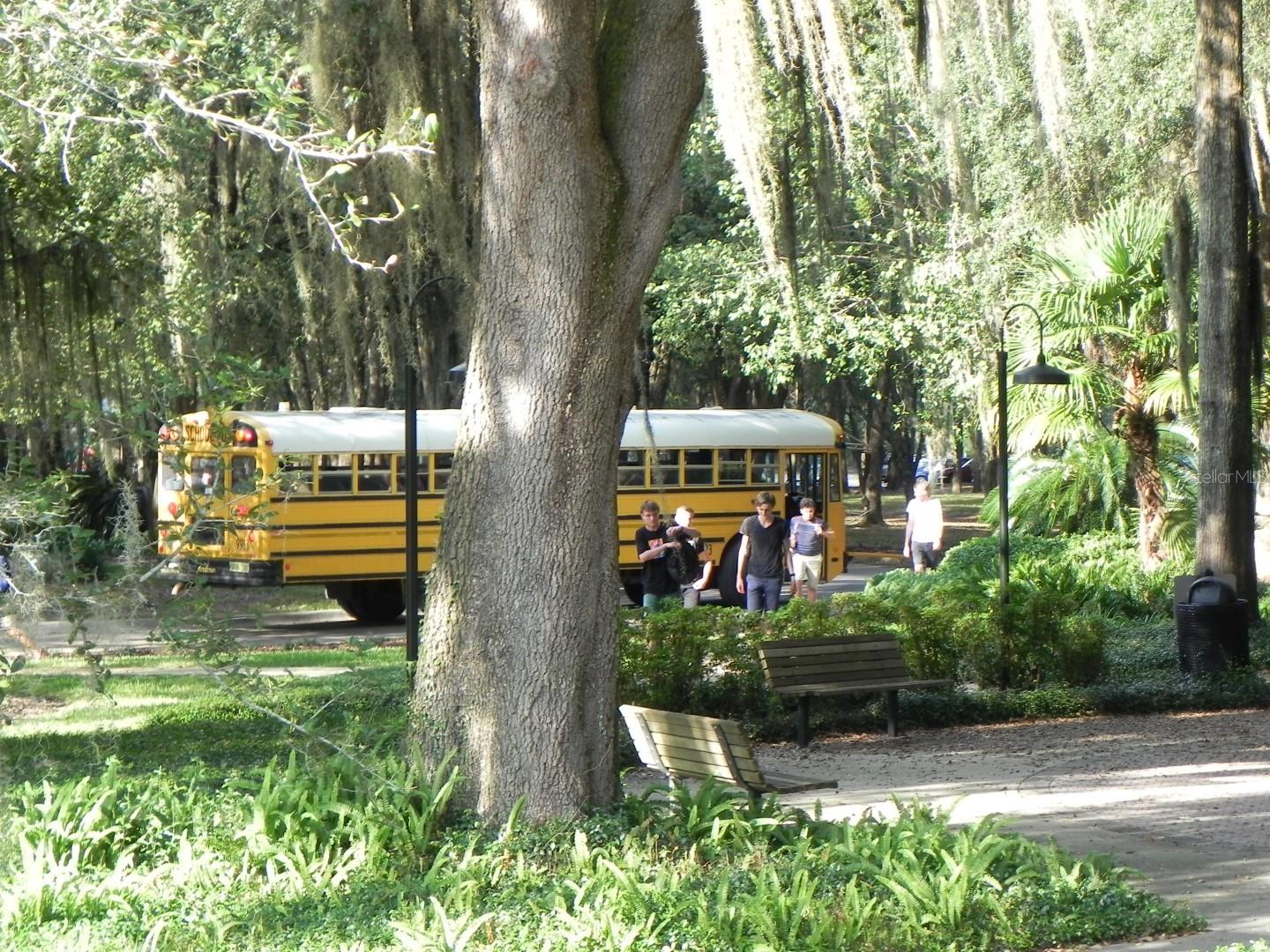 TOWN OF TIOGA PH 11 - Residential