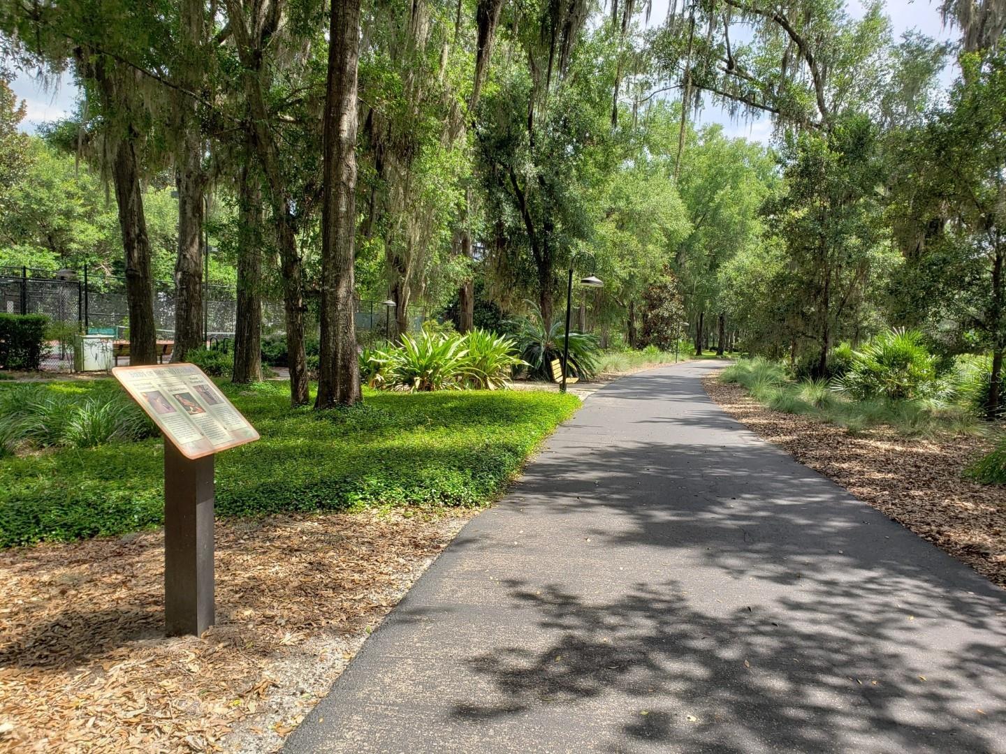 TOWN OF TIOGA PH 11 - Residential