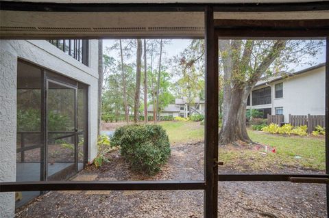 A home in SARASOTA