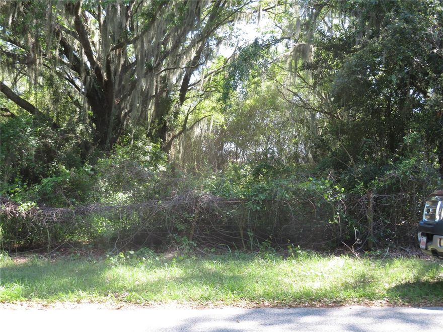 Located in the city of San Antonio this beautiful .55 wooded lot is ready for you to  bring  your builder and build your dream home on. No HOA fees, zoned R2, city water, paved street. Easy walk to South of San Antonio merchants and restaurants as well as the dog park. Easy access to SR 52 and I-75. Reduced impact fee because of city of San Antoni