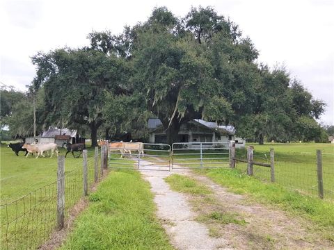 Tiny photo for 1401 State Road 44, Leesburg, FL 34748 (MLS # G5023066)