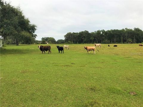 Tiny photo for 1401 State Road 44, Leesburg, FL 34748 (MLS # G5023066)