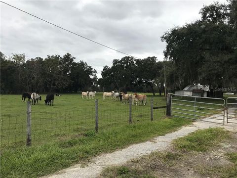 Tiny photo for 1401 State Road 44, Leesburg, FL 34748 (MLS # G5023066)