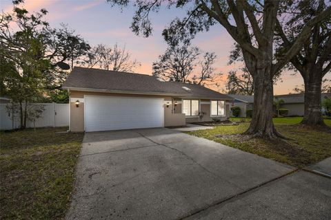 5822 SILVER MOON AVENUE TAMPA FL 33625