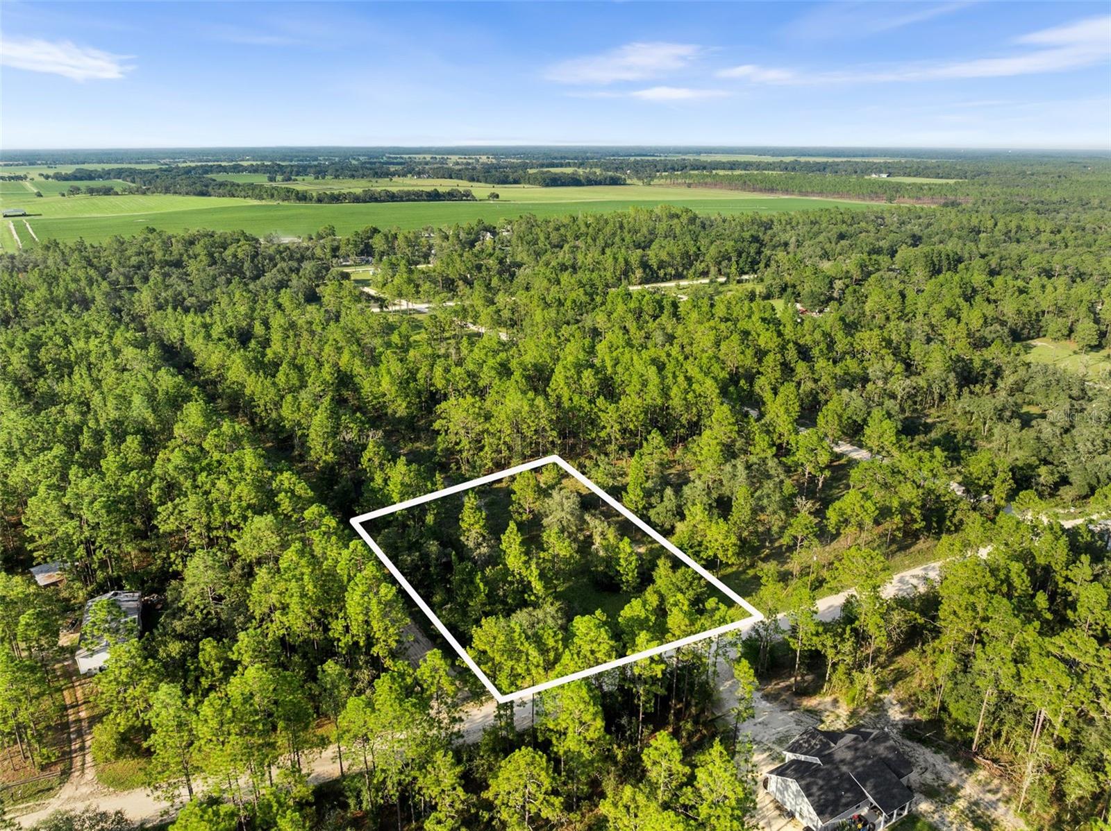 This square - corner 1 acre residential lot in the Williston Highlands community in Levy County, Florida, offers a a excellent opportunity to live in one of the most sought after areas in North Central Florida. With Gainesville and Ocala on 30 minutes away its the perfect place for your new built or manufactured home. This beautiful corner lot can be accessed from either NE 6th St or NE 133rd Terrance. There is no address. Please use the GPS coordinates and the cross streets to find the location. 29°20'33.8"N 82°33'01.1"W will take you to the cross streets.
Don't miss the chance to live the good life on your own piece of land in Williston Highlands!
