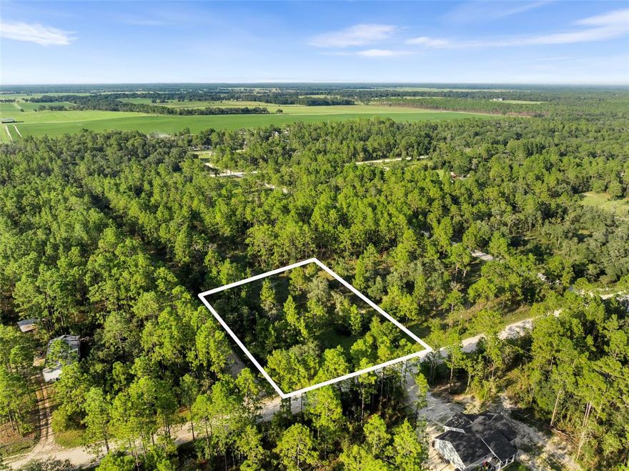 This square - corner 1 acre residential lot in the Williston Highlands community in Levy County, Florida, offers a a excellent opportunity to live in one of the most sought after areas in North Central Florida. With Gainesville and Ocala on 30 minutes away its the perfect place for your new built or manufactured home. This beautiful corner lot can be accessed from either NE 6th St or NE 133rd Terrance. There is no address. Please use the GPS coordinates and the cross streets to find the location. 29°20'33.8"N 82°33'01.1"W will take you to the cross streets. 
Don't miss the chance to live the good life on your own piece of land in Williston Highlands!