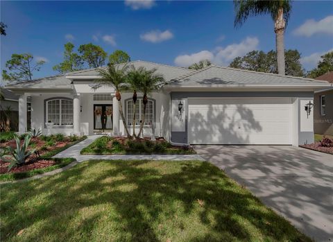Photo of 19109 Cherry Rose Circle, Lutz, FL 33558 (MLS # TB8414850)