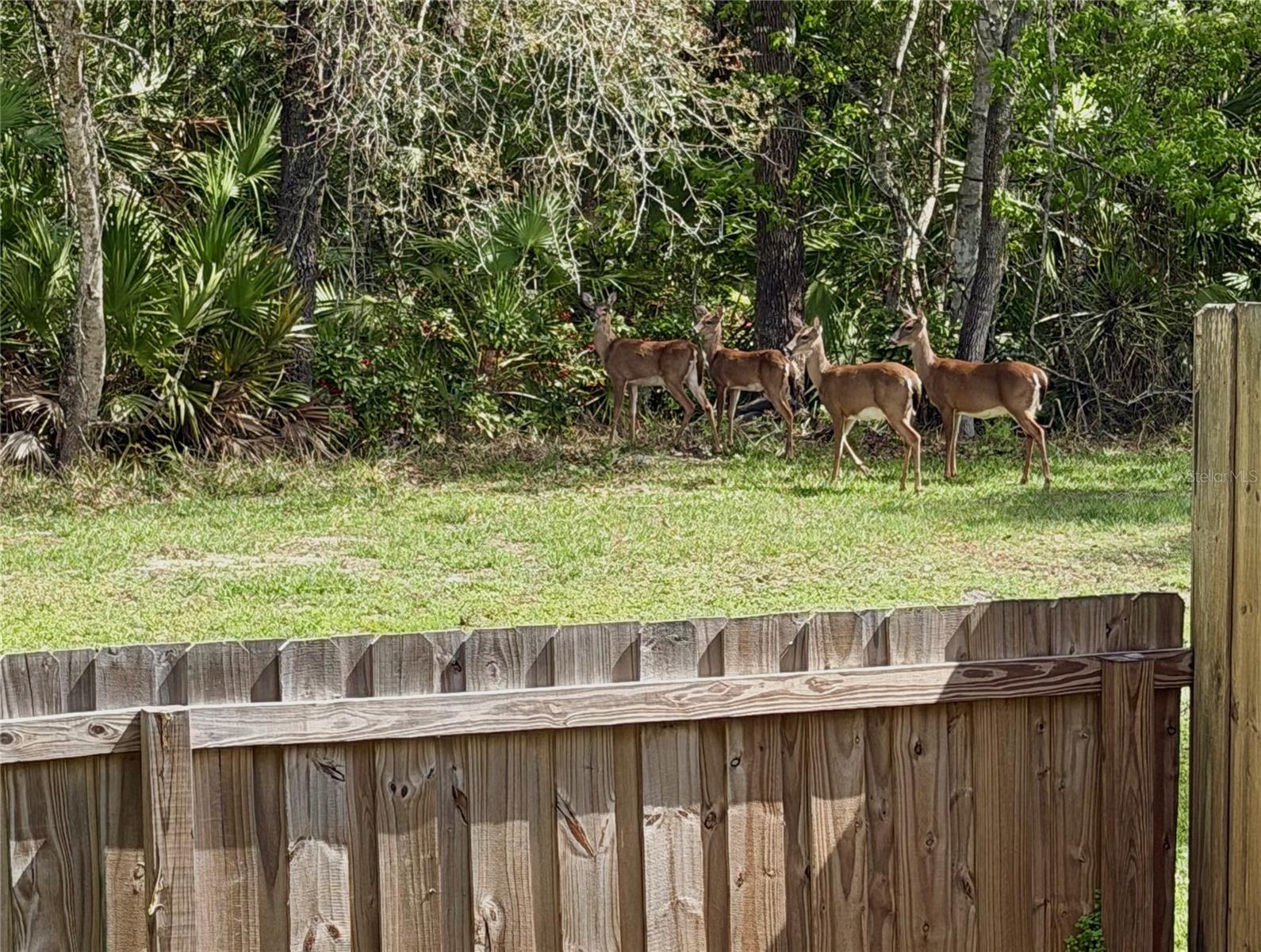 ALAFAYA WOODS PH 14 - Residential