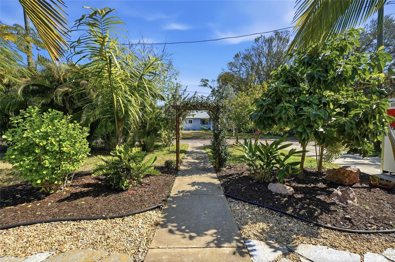 SCHINTO REP - Residential