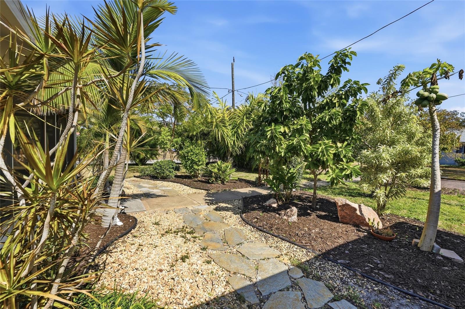 SCHINTO REP - Residential