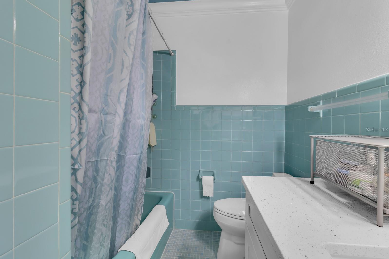 ALLIGATOR LAKESHORE - Residential