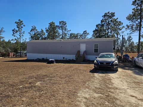 Photo of 13350 NE 5th Street, Williston, FL 32696 (MLS # OM718303)