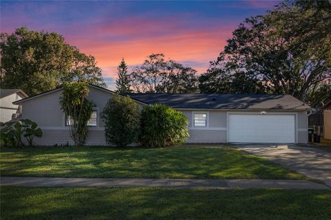 A home in ORLANDO