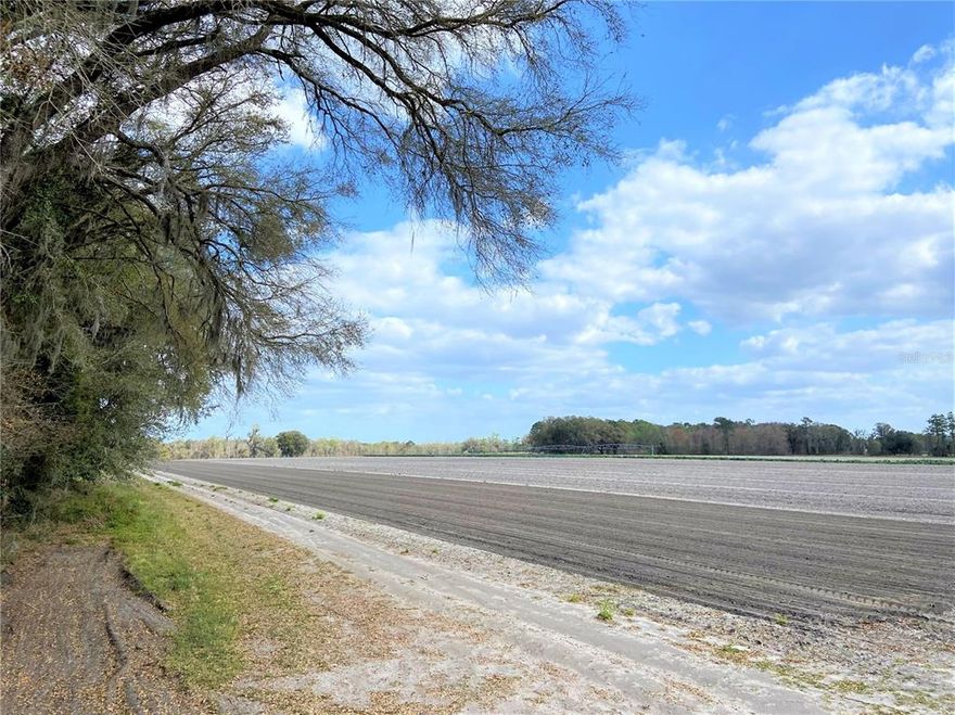 Have you always wanted to own a large tract of land? This property could be for you ---almost 39 acres of vacant land for sale on paved County Road 239, north of the City of Alachua and only 10 minutes to I-75. Property has been owned by current owners for many years and is currently being used for agricultural crops. However this large tract of cleared, rural property, with close proximity to town, could have great potential for future development opportunities.  Call with questions or on how to make this beautiful land yours today!