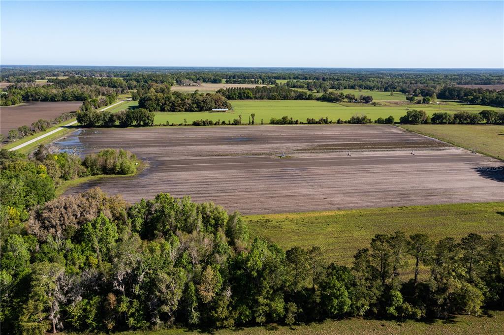 24103 NW COUNTY ROAD 239
