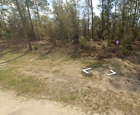 Photo of SW 28 Lane, Ocala, FL 34481 (MLS # OM719979)
