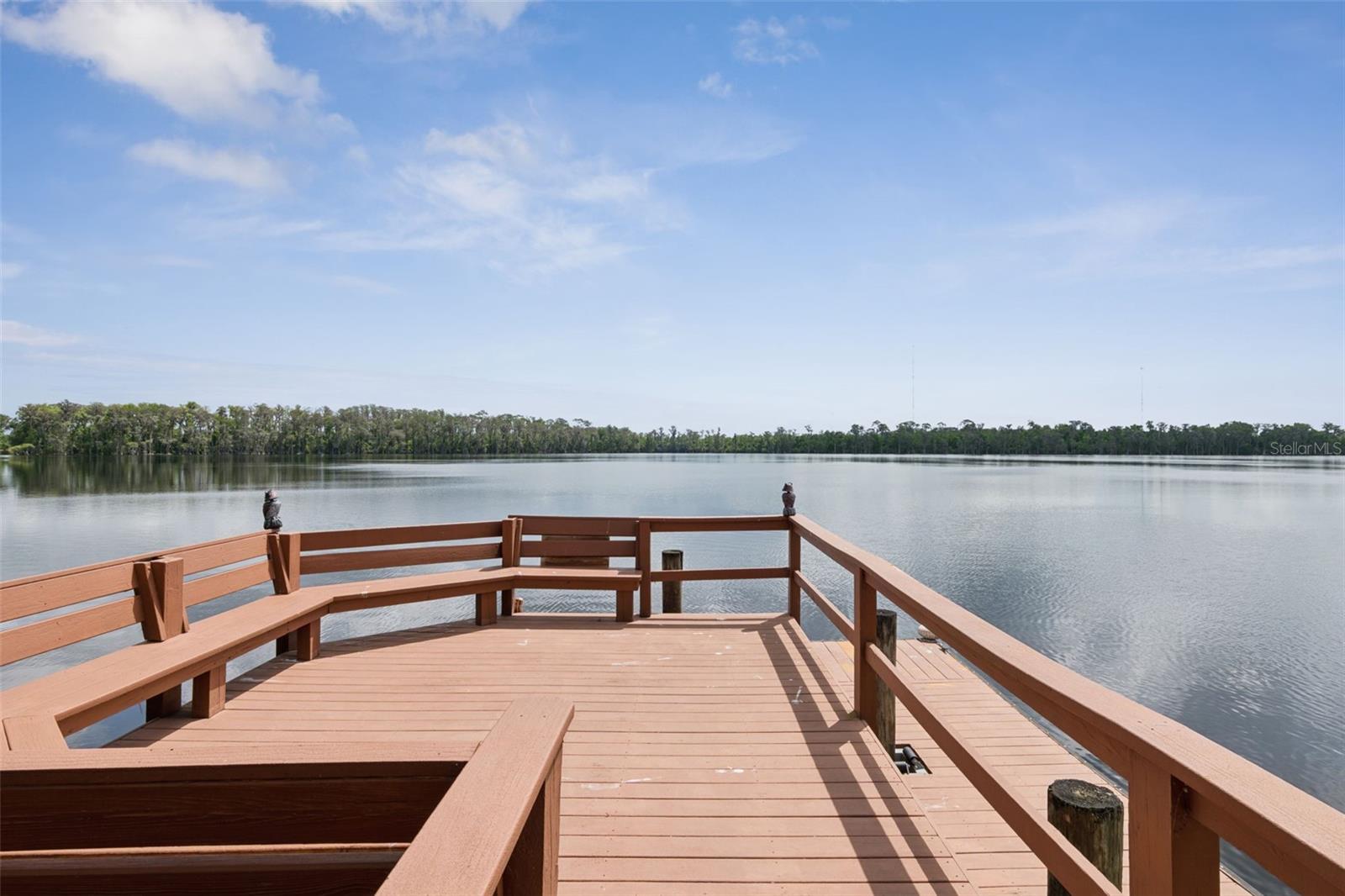 LAKE PICKET WOODS 5 ACRE DEV - Residential