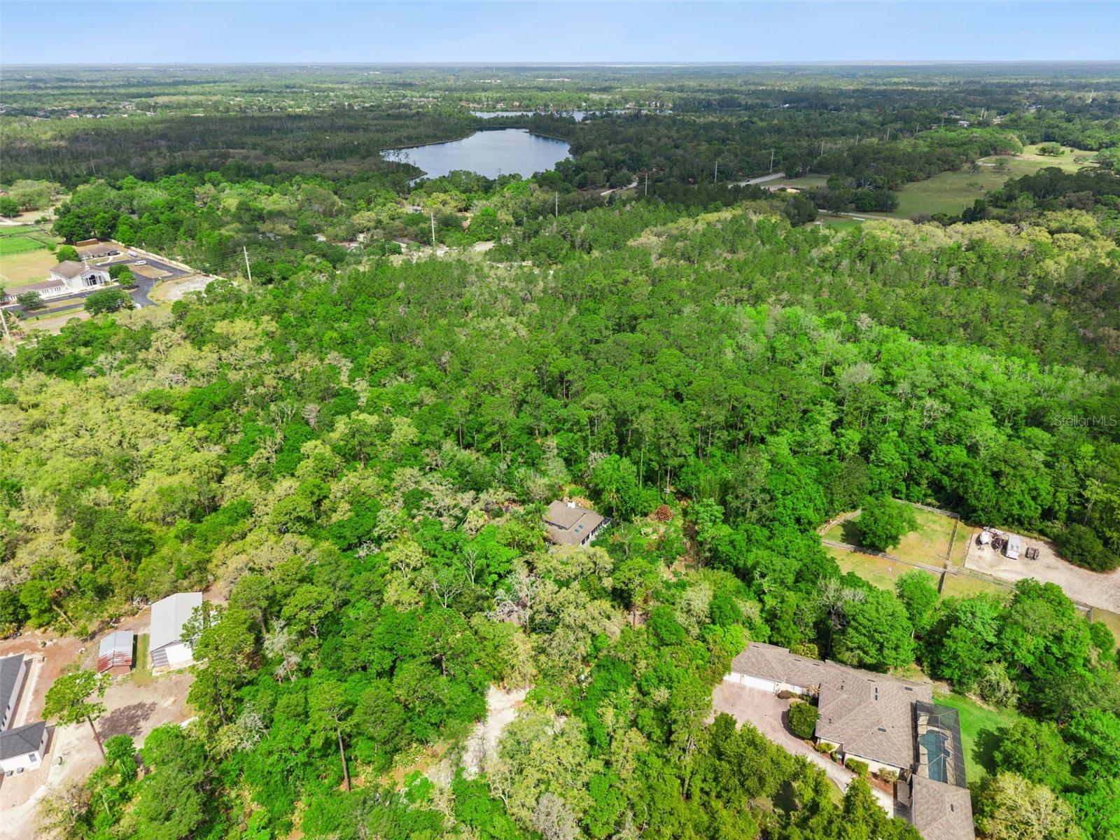 LAKE PICKET WOODS 5 ACRE DEV - Residential