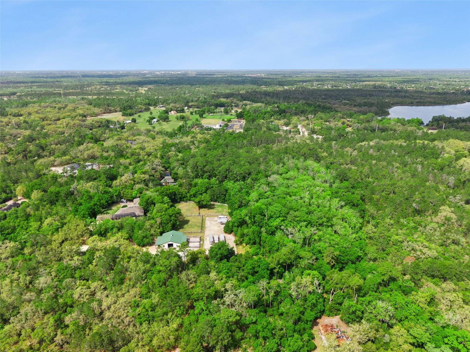 LAKE PICKET WOODS 5 ACRE DEV - Residential