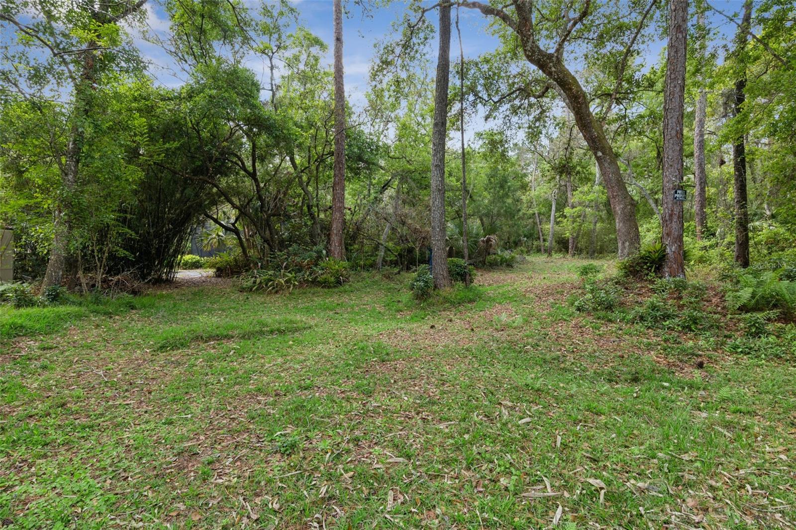 LAKE PICKET WOODS 5 ACRE DEV - Residential