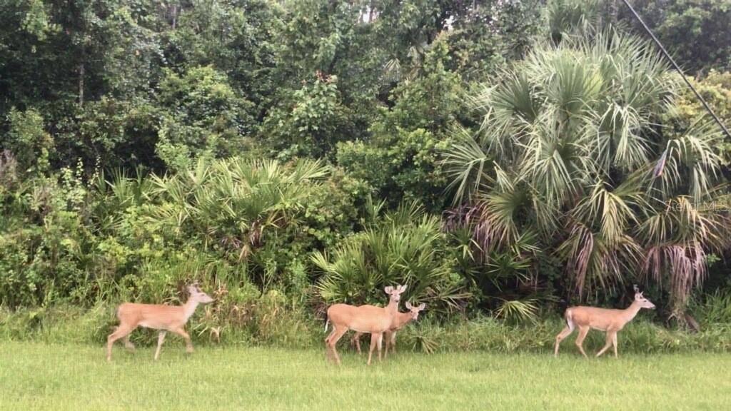 SOLIVITA PH 5C - Residential