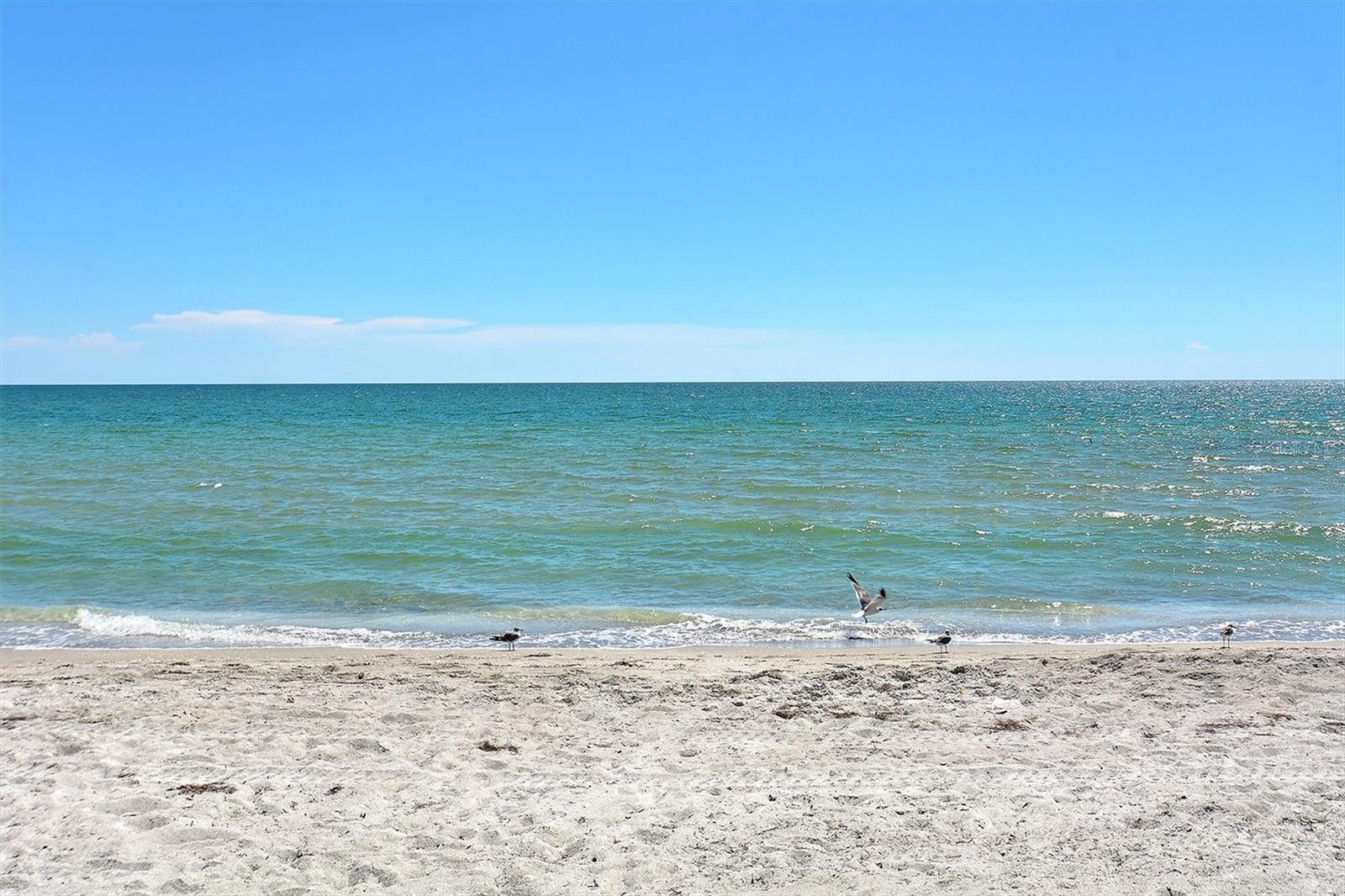 PRIVATEER NORTH - Residential