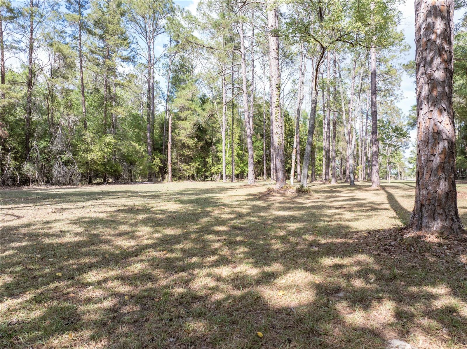 NOT IN A SUBDIVISION - Residential