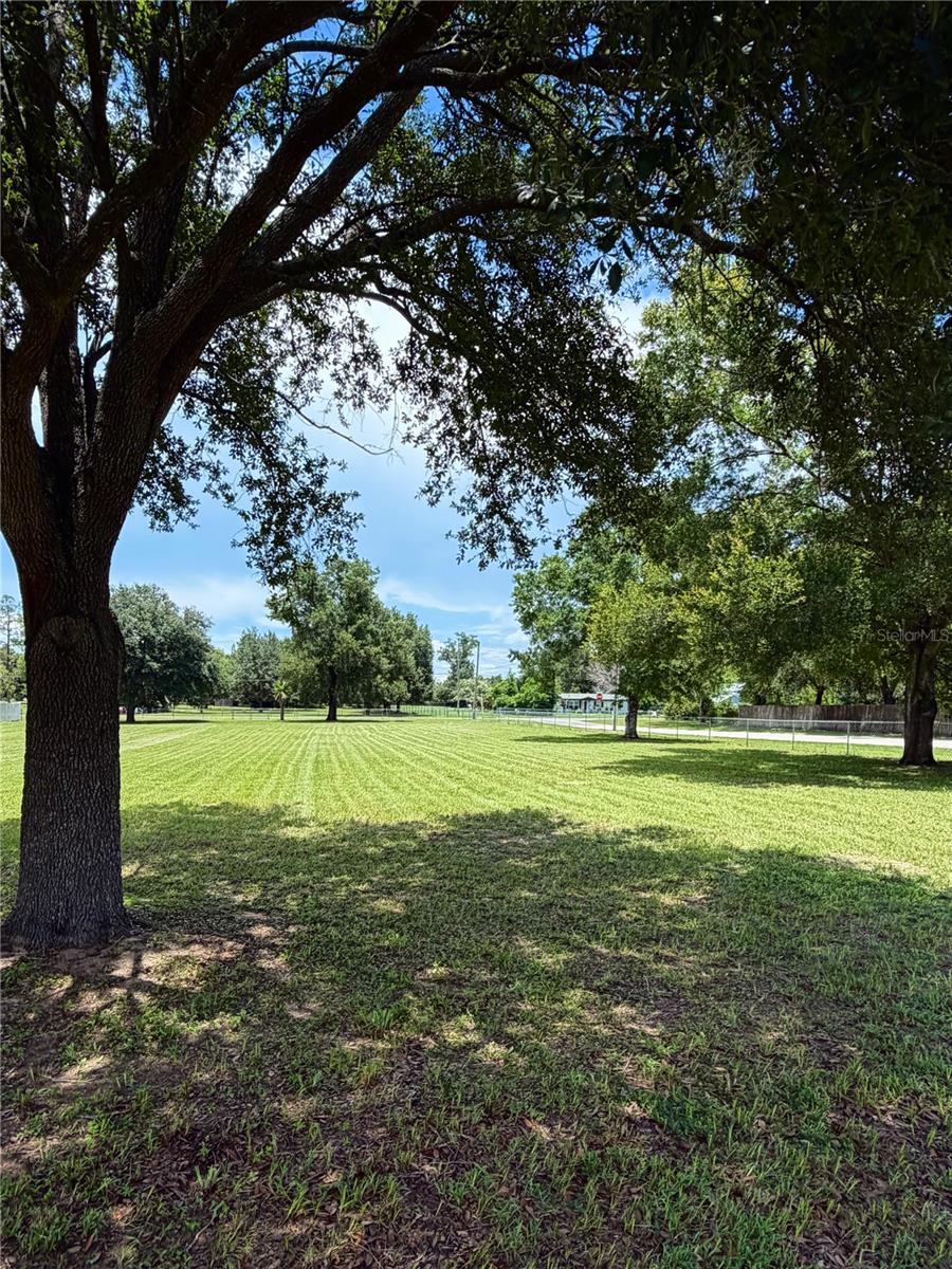 Photo of 38714 Centennial Road, Dade City, FL 33525 (MLS # TB8527971)