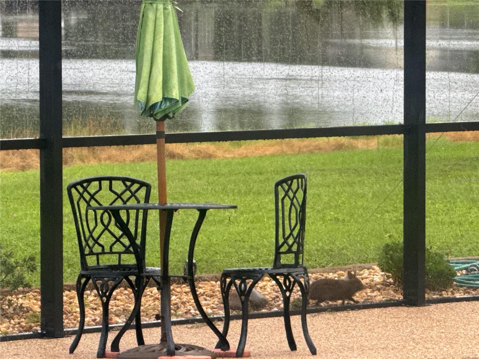 LAKE PADGETT ESTATES - Residential