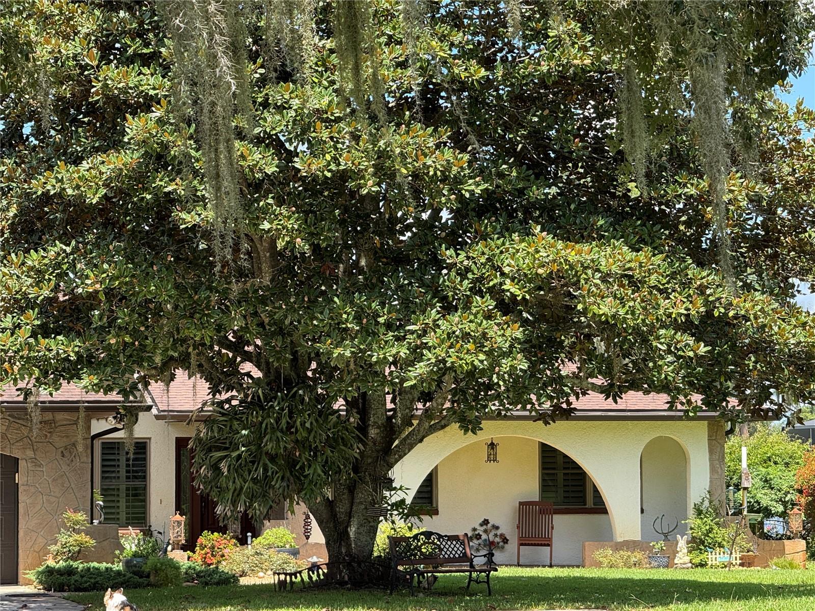 LAKE PADGETT ESTATES - Residential