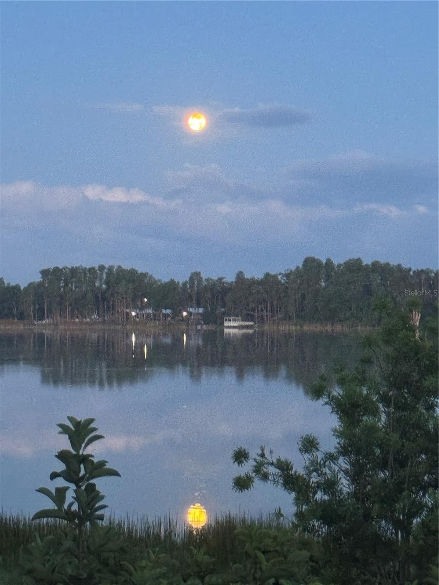 LAKE PADGETT ESTATES - Residential