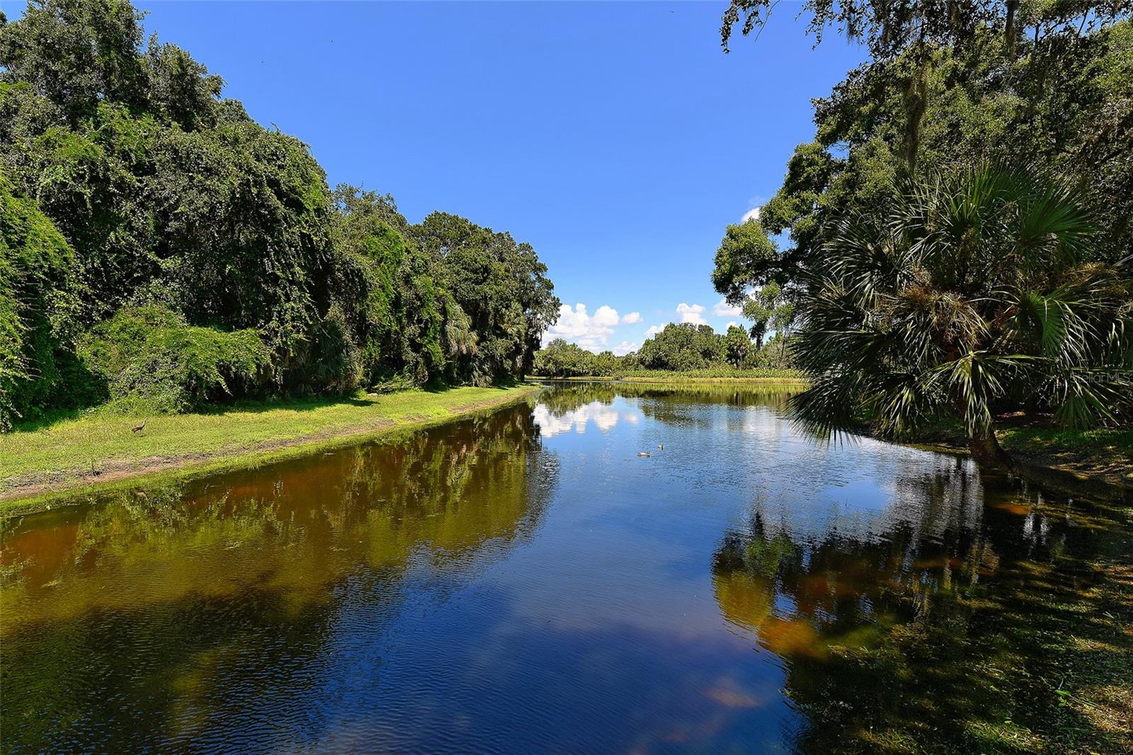 TURTLE ROCK - Residential
