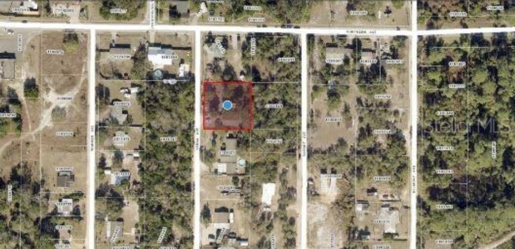 Photo of 33702 Verda Avenue, Leesburg, FL 34788 (MLS # O6346103)