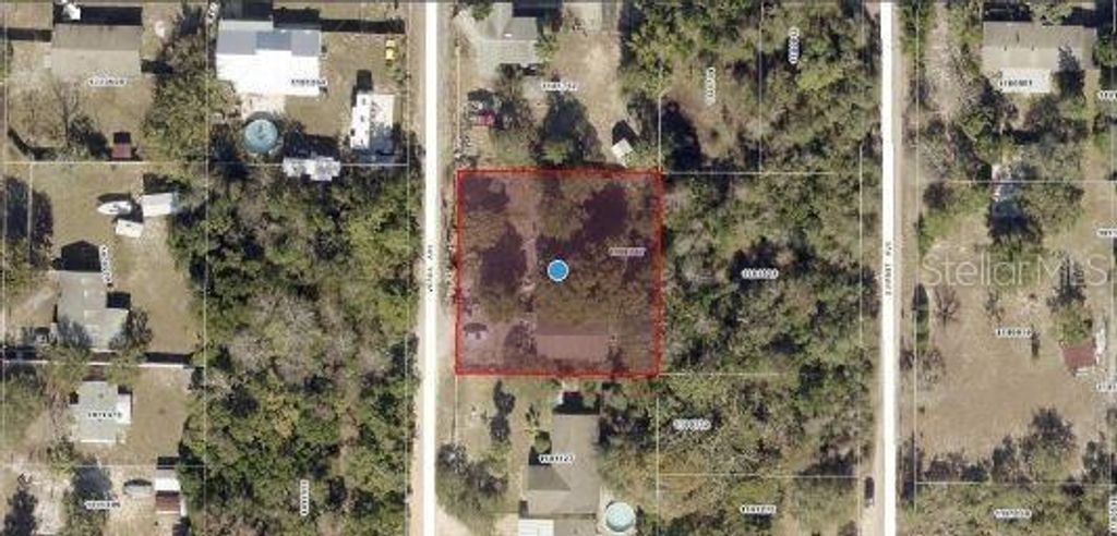 Photo of 33702 Verda Avenue, Leesburg, FL 34788 (MLS # O6346103)