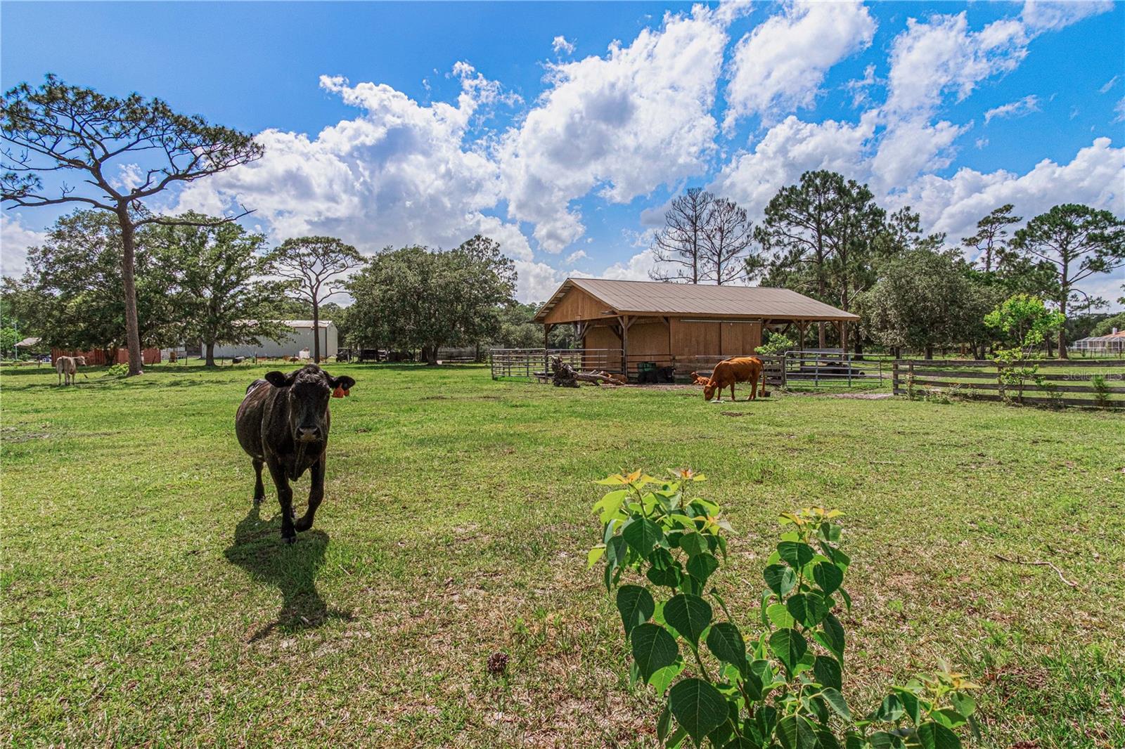 SADDLE BROOK FARMS - Residential