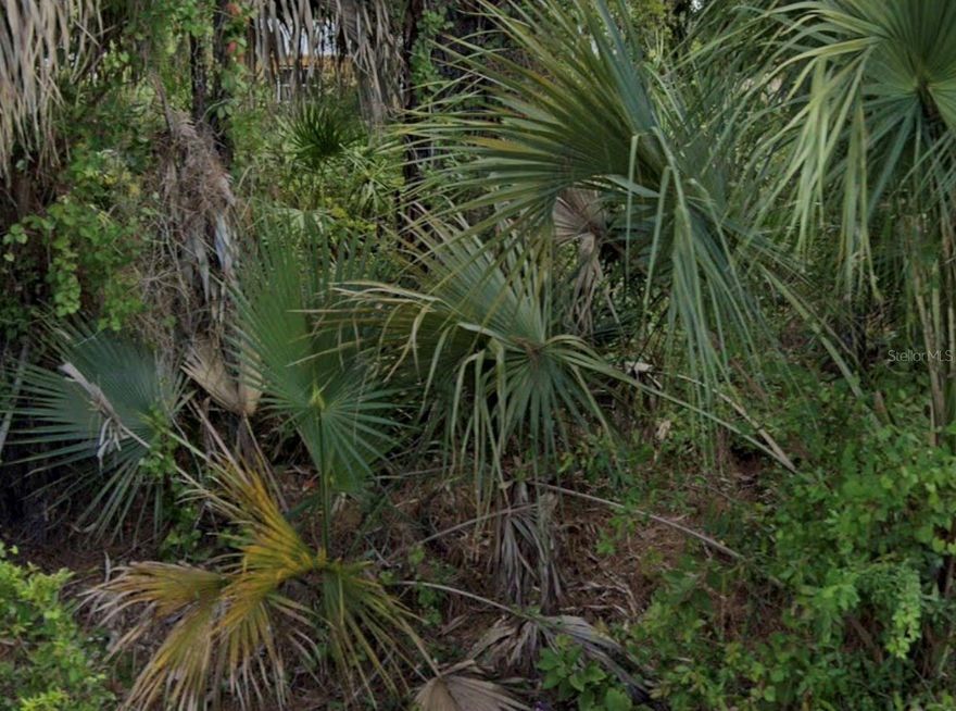 Great Lot to developed your dream home