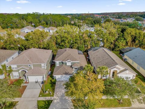 A home in KISSIMMEE