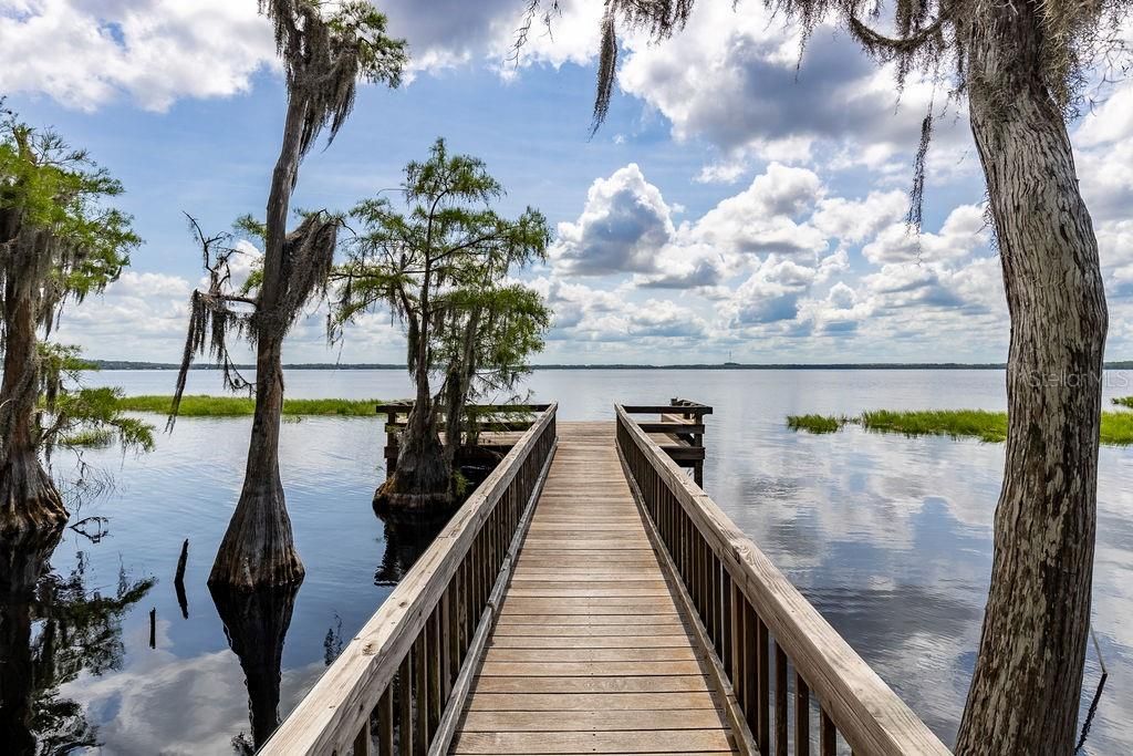 Photo of 11634 Nellie Oaks Bend, Clermont, FL 34711 (MLS # O6420717)