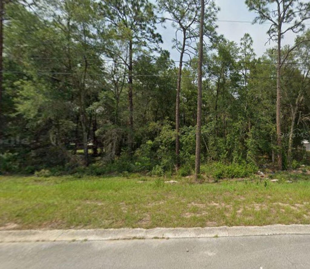 Photo of 6671 E Glover Street, Inverness, FL 34452 (MLS # TB8454561)