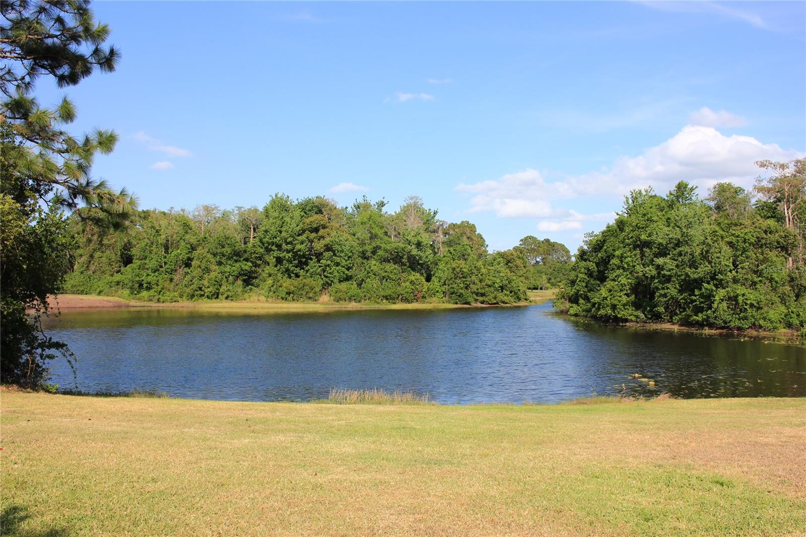 VILLAS/CYPRESS SPGS - Residential Lease