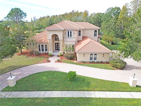 A home in TARPON SPRINGS