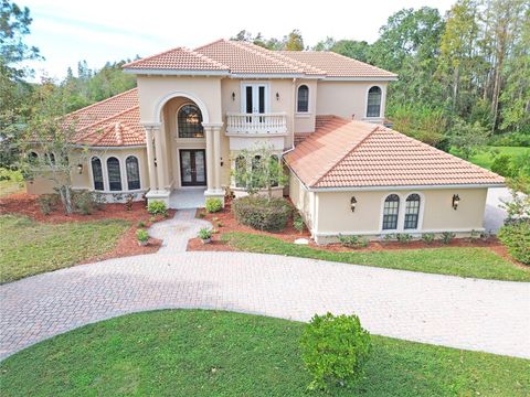 A home in TARPON SPRINGS